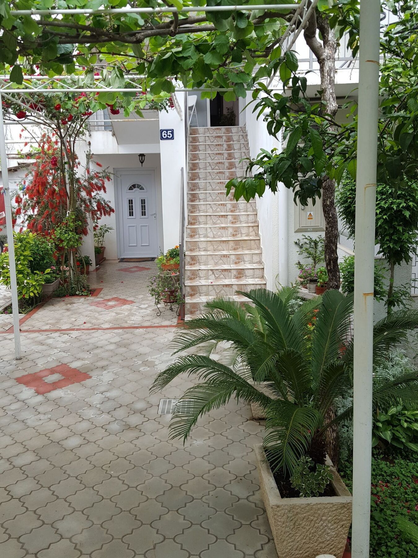Bonik Apartment Budva